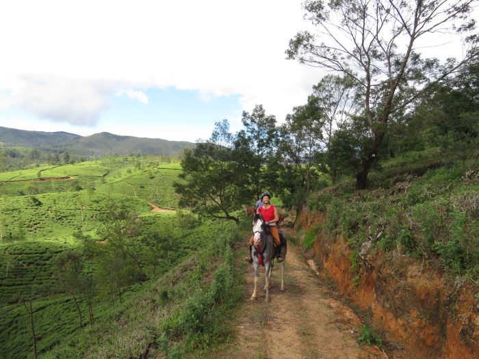 Tropiques et trail des plages du Sri Lanka