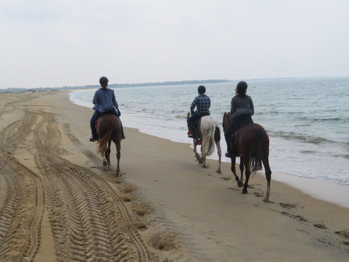 Tropiques et trail des plages du Sri Lanka