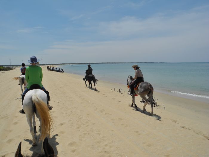 Tropiques et trail des plages du Sri Lanka