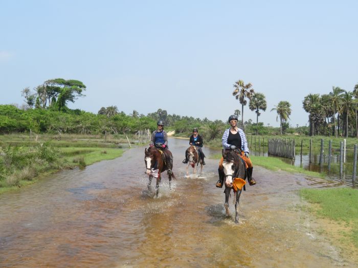 Tropiques et trail des plages du Sri Lanka