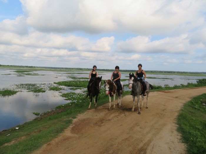 Tropiques et trail des plages du Sri Lanka