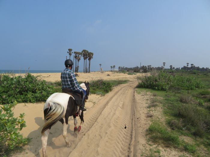 Tropiques et trail des plages du Sri Lanka