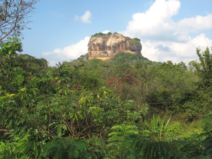 Tropiques et trail des plages du Sri Lanka