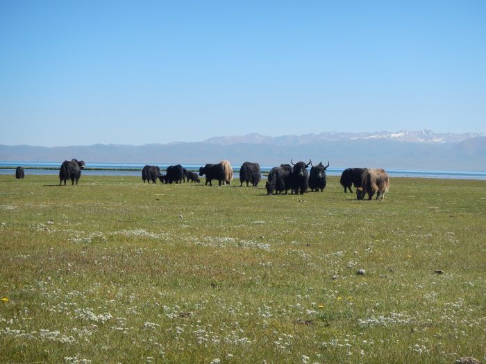 Traversée du Kirghizistan