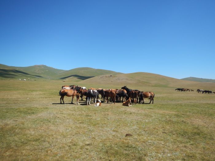Traversée du Kirghizistan