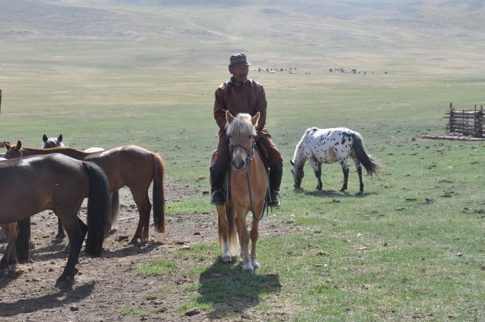 Mongolie centrale et steppes nomades