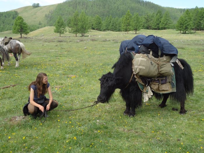 Mongolie centrale et steppes nomades