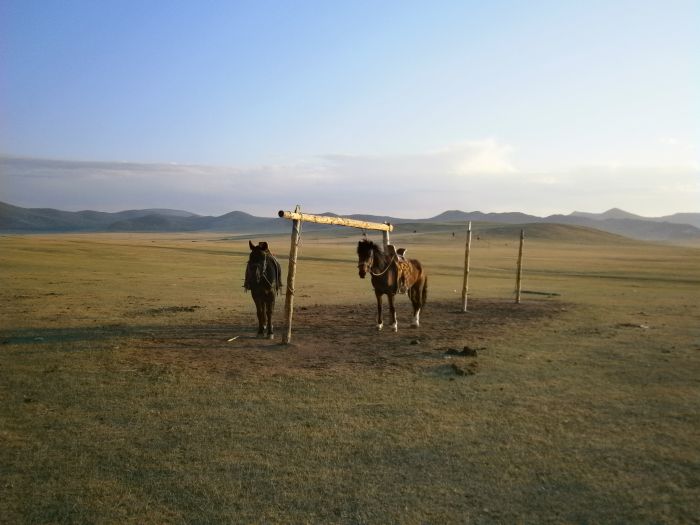 Mongolie centrale et steppes nomades