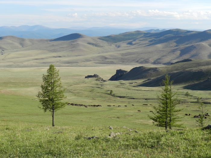 Mongolie centrale et steppes nomades