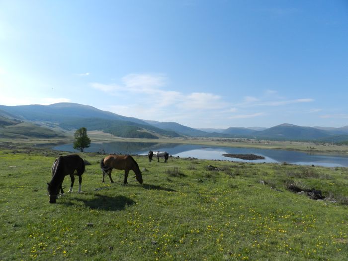 Mongolie centrale et steppes nomades