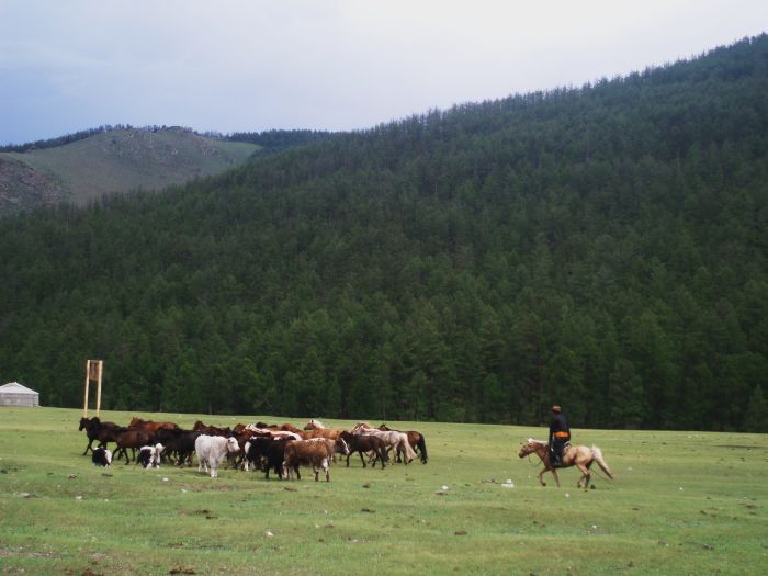 Montagnes et lacs dans le nord