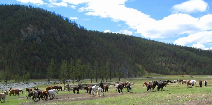Randonnée sur le lac Hovsgol