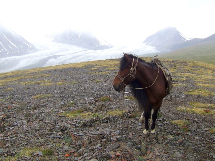 Montagnes de l'Altaï : au pays des aigles