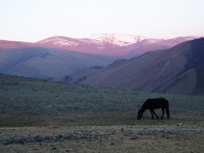 Montagnes de l'Altaï : au pays des aigles