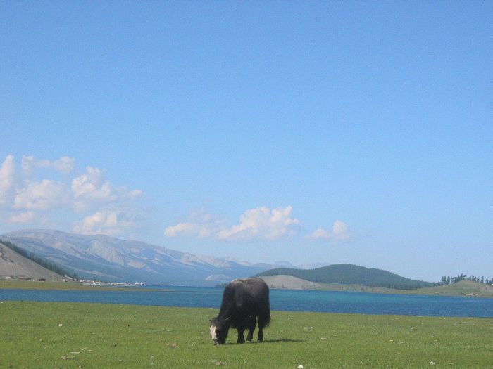 Montagnes de l'Altaï : au pays des aigles