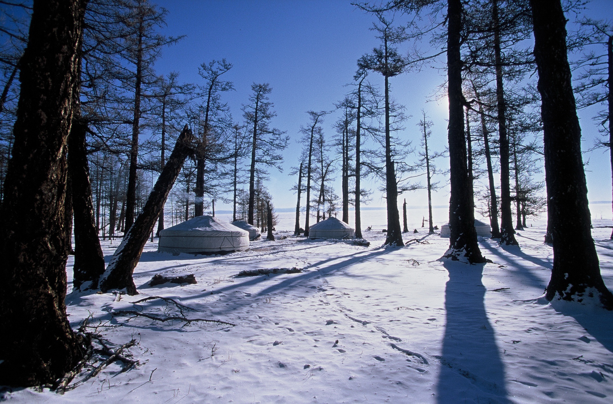 La magie de l'hiver dans les montagnes du Khenti Hébergement