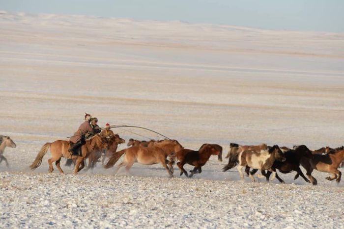 La magie de l'hiver dans les montagnes du Khenti