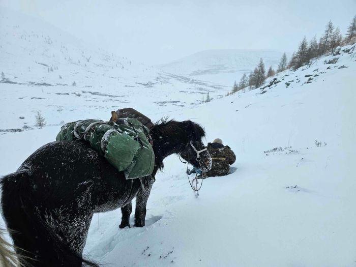 La magie de l'hiver dans les montagnes du Khenti