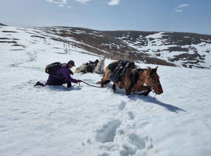 La magie de l'hiver dans les montagnes du Khenti