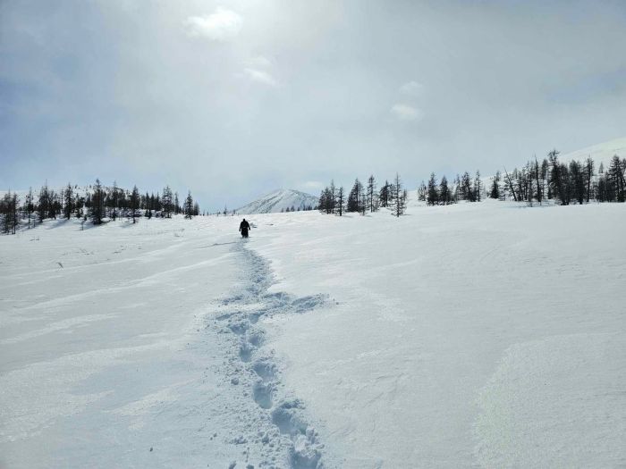 La magie de l'hiver dans les montagnes du Khenti