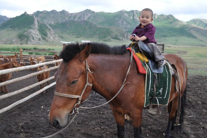 Sur les traces de Gengis Khan