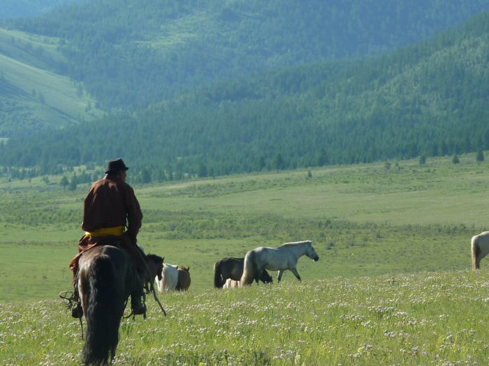 Sur les traces de Gengis Khan