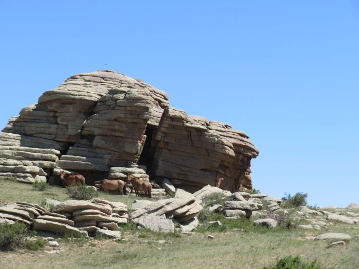 Randonnée dans la steppe de Gobi