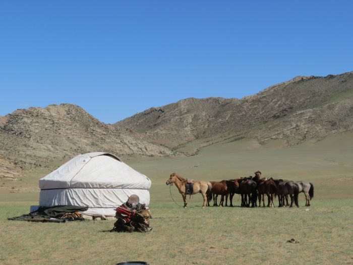 Randonnée dans la steppe de Gobi