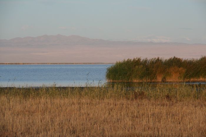 Randonnée dans la steppe de Gobi