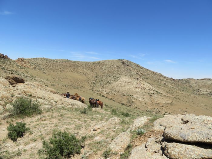 Randonnée dans la steppe de Gobi