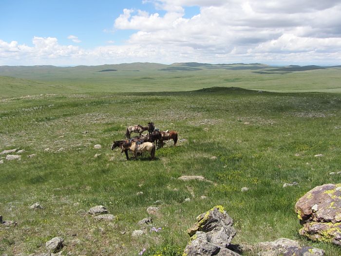 Randonnée dans la steppe de Gobi
