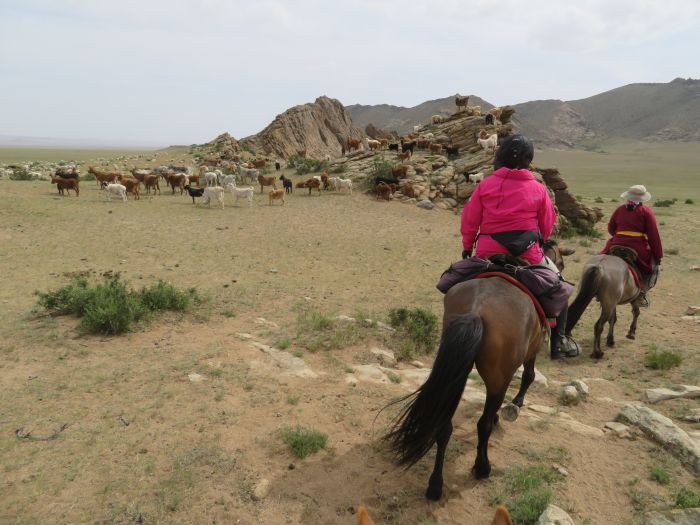 Randonnée dans la steppe de Gobi