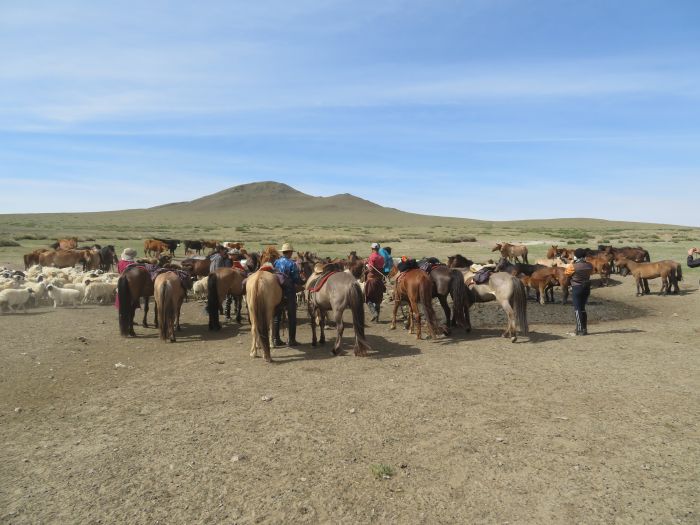 Randonnée dans la steppe de Gobi