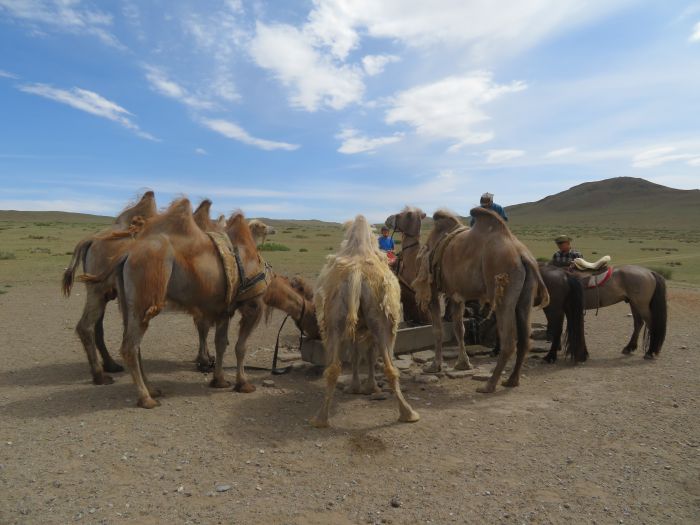 Randonnée dans la steppe de Gobi