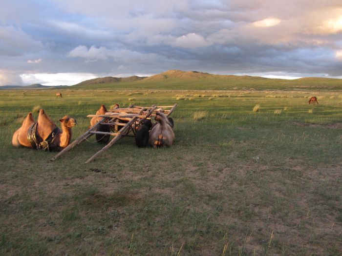 Randonnée dans la steppe de Gobi