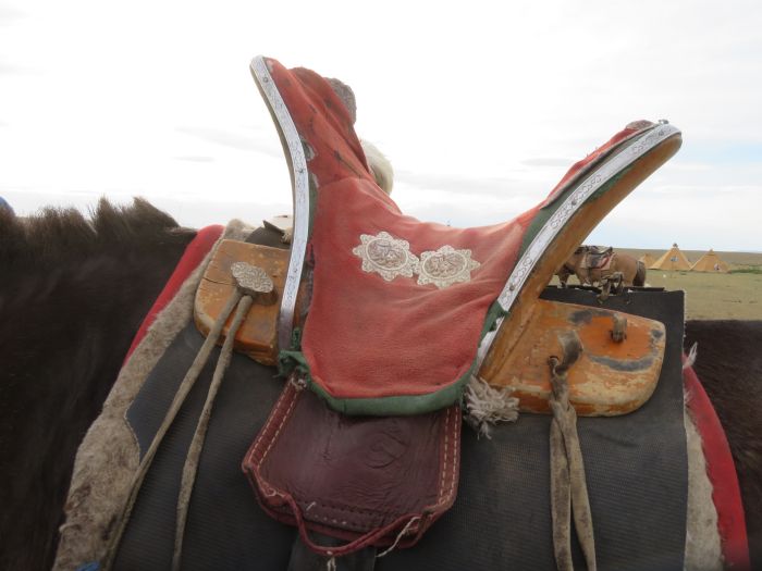 Randonnée dans la steppe de Gobi