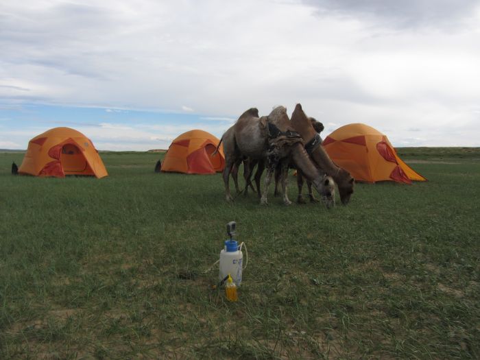 Randonnée dans la steppe de Gobi