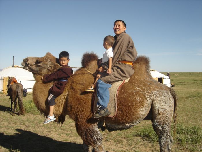 Randonnée dans la steppe de Gobi