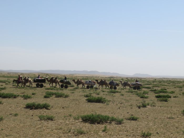 Randonnée dans la steppe de Gobi