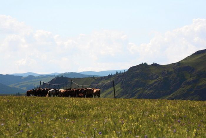 Expédition dans les steppes de Mongolie
