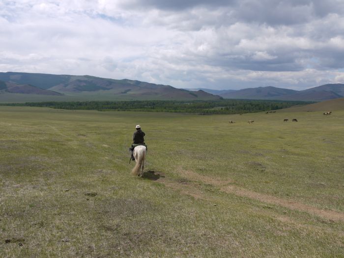 Expédition dans les steppes de Mongolie