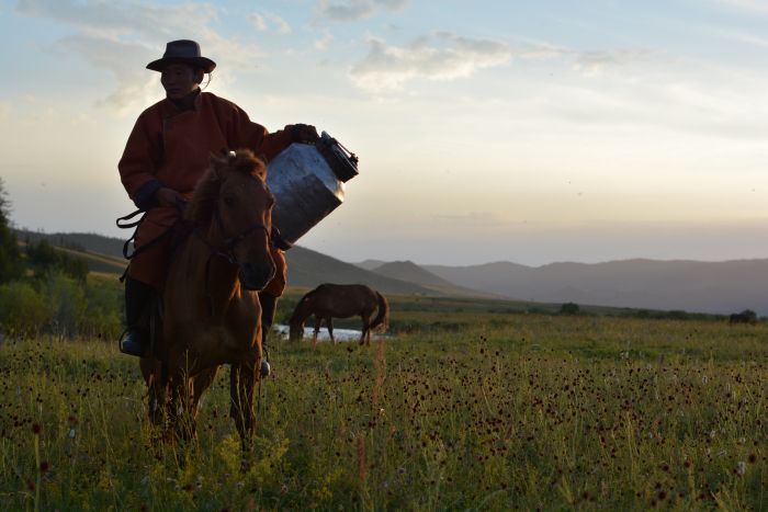 Expédition dans les steppes de Mongolie
