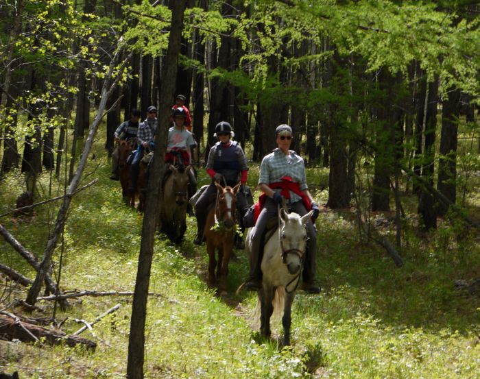 Expédition dans les steppes de Mongolie