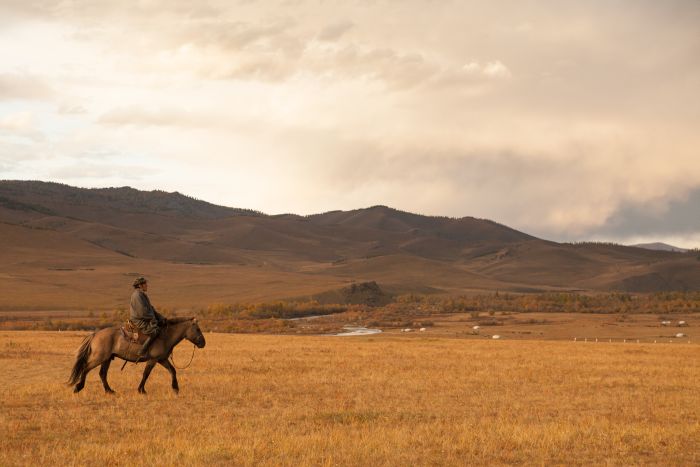 Expédition dans les steppes de Mongolie
