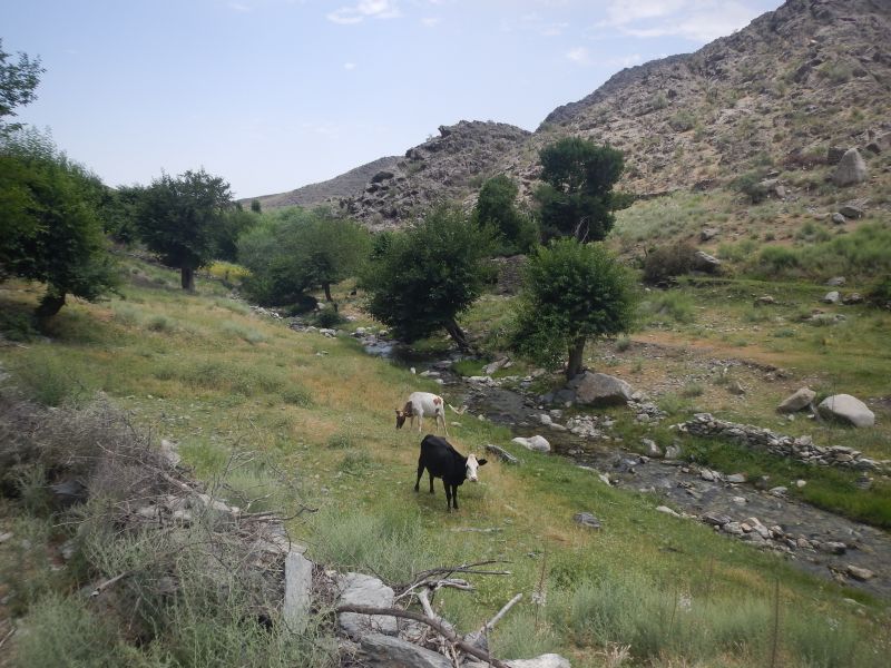 Trail de la Route de la Soie en Ouzbékistan