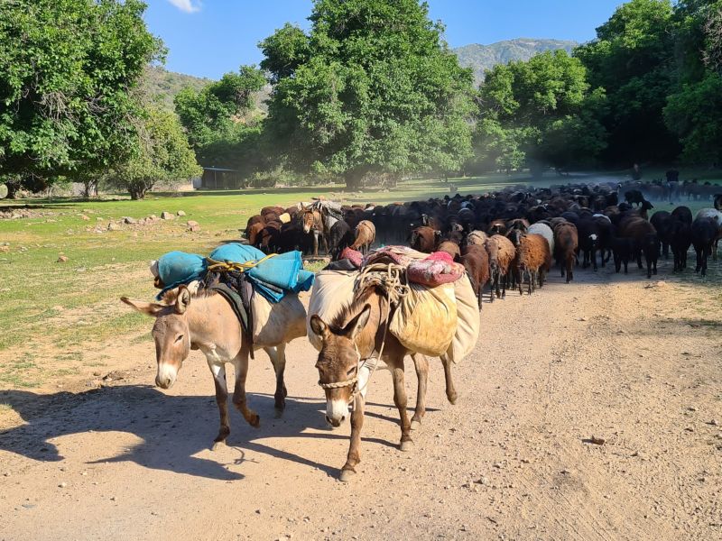 Trail de la Route de la Soie en Ouzbékistan