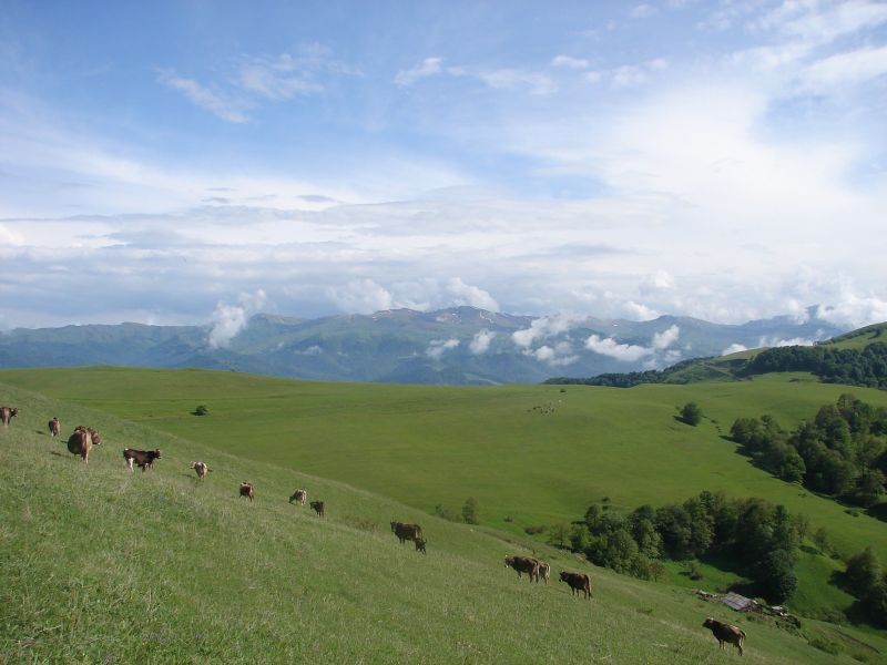Chevaucher en Arménie