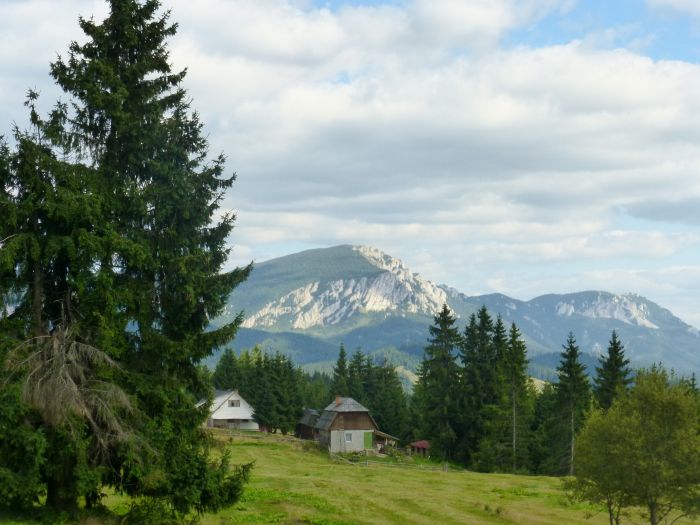 Sur les traces des ours