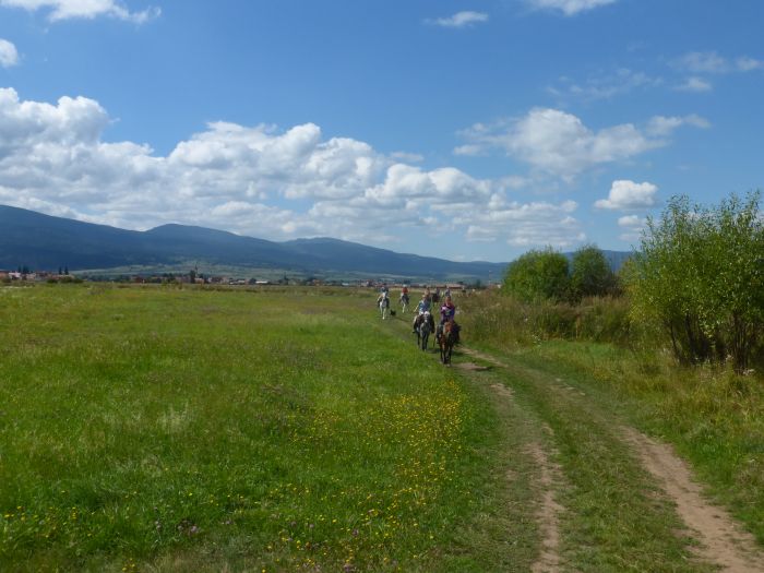 Sur les traces des ours