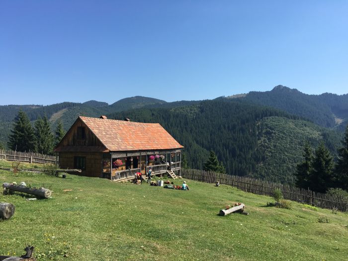 Sur les traces des ours